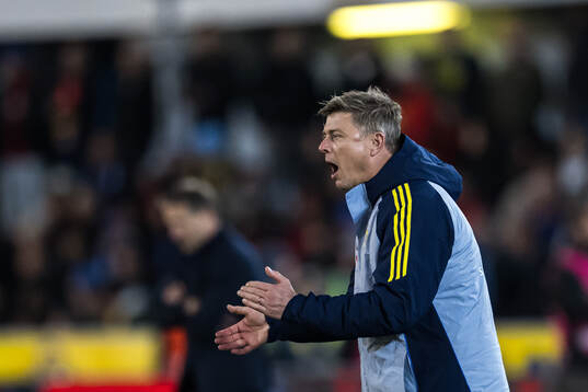Head coach Jon Dahl Tomasson of Sweden