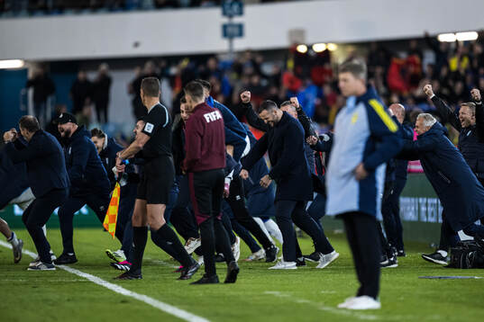 Head coach Franco Foda of Kosovo celebrates behind Head