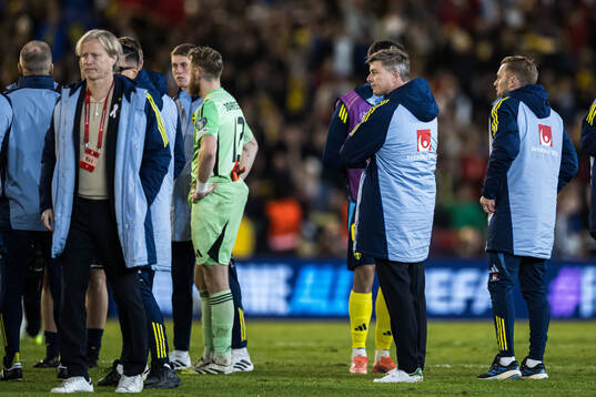 Head coach Jon Dahl Tomasson of Sweden