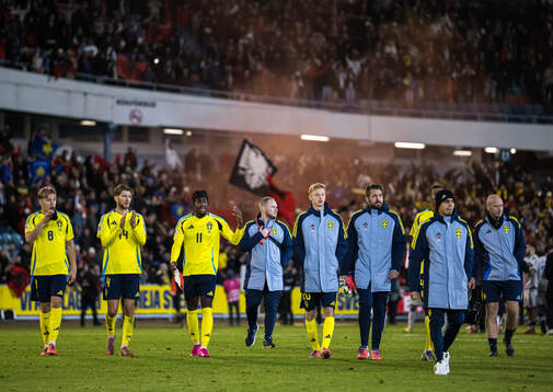 Players of Sweden