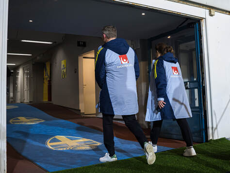 Head coach Jon Dahl Tomasson of Sweden