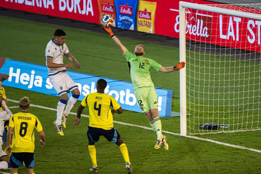 Goalkeeper Viktor Johansson of Sweden
