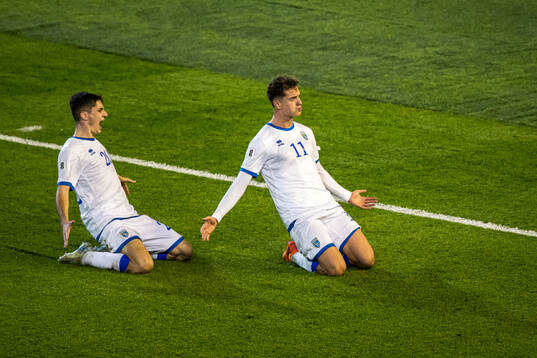 Veldin Hodža and Fisnik Asllani of Kosovo celebrate the