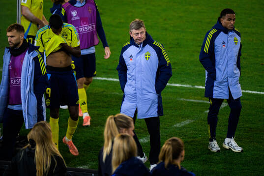 Head coach Jon Dahl Tomasson of Sweden