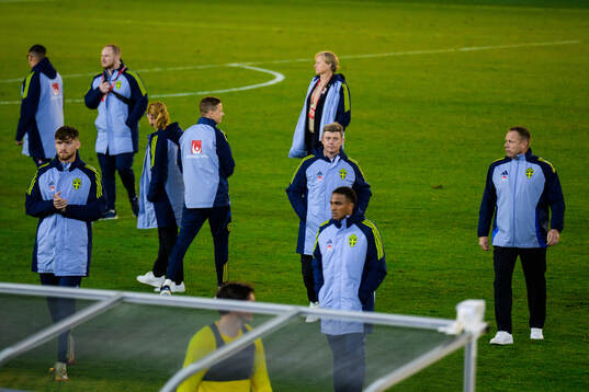 Head coach Jon Dahl Tomasson of Sweden