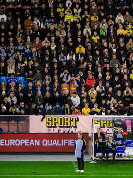 Head coach Jon Dahl Tomasson of Sweden