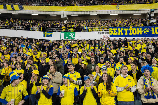 during the FIFA World Cup Qualifier football match between