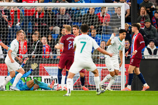 Marko Stamenic of New Zealand celebrates