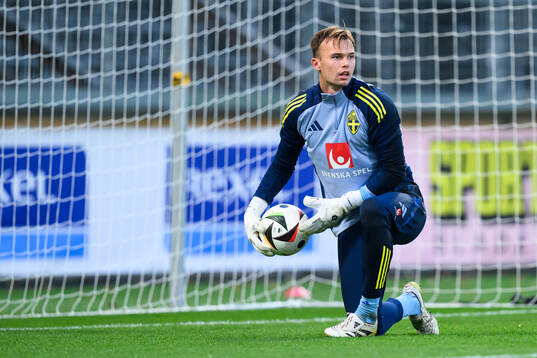 Goalkeeper André Picornell of Sweden
