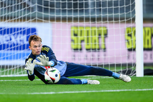 Goalkeeper André Picornell of Sweden