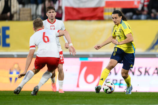 Amin Boudri of Sweden