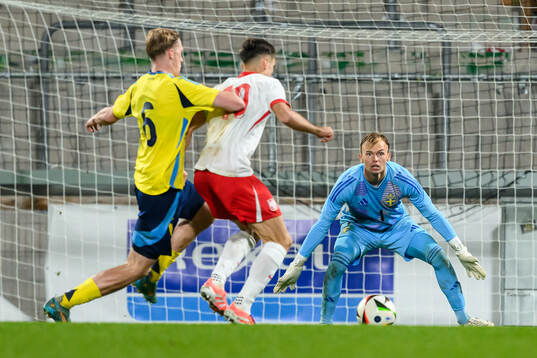 goalkeeper André Picornell of Sweden