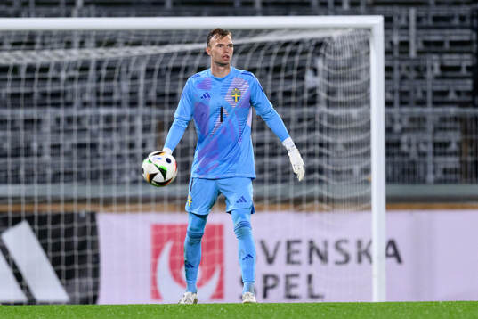 Goalkeeper André Picornell of Sweden