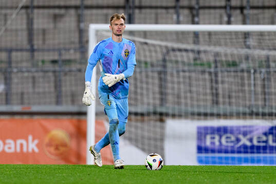 Goalkeeper André Picornell of Sweden