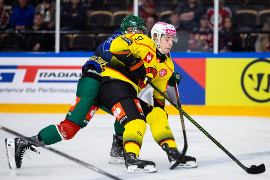 Nils Rhyn of SC Bern