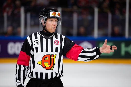Referee Mikael Holm
