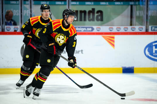 Brynäs Christian Djoos