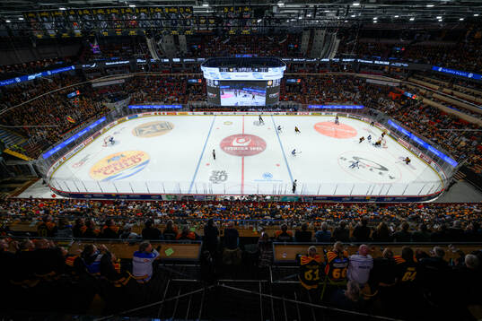 Monitor ERP Arena