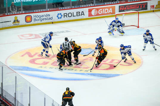Brynäs Kieffer Bellows