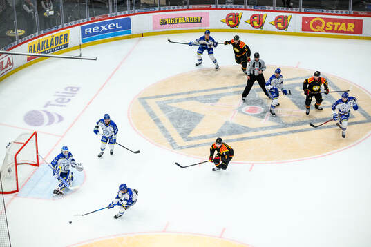 Leksands och Brynäs spelare
