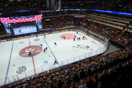 Monitor ERP Arena