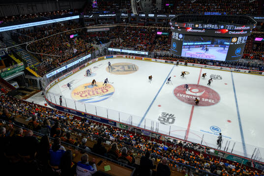 Monitor ERP Arena