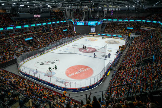 Monitor ERP Arena