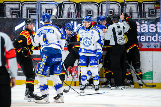 Brynäs och Leksands spelare