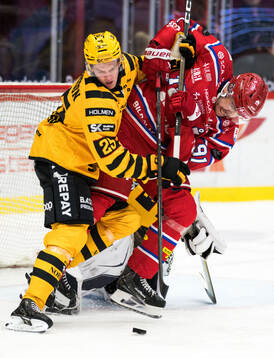Skellefteås Pontus Johansson och Timrås Magnus Pääjärvi