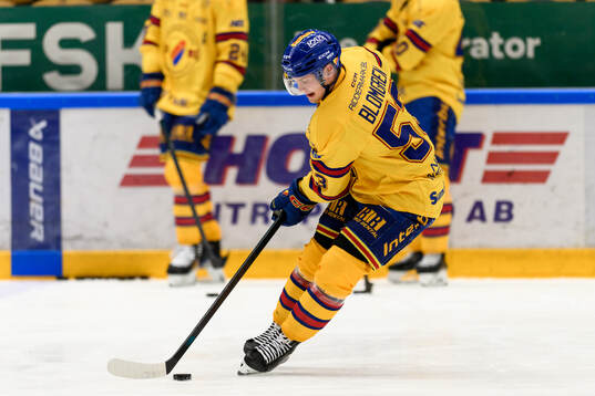 Djurgårdens David Blomgren  ishockeymatchen i SHL mellan