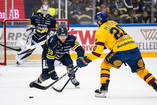 HV71s Justin Glenn Kloos