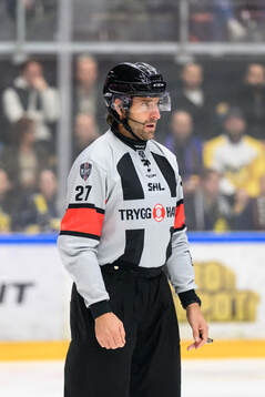Domare Mikael Sjöqvist