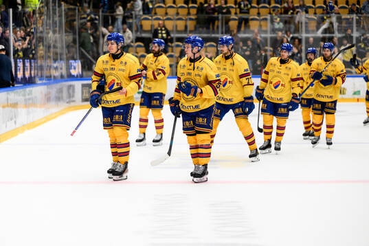 Djurgårdens spelare deppar