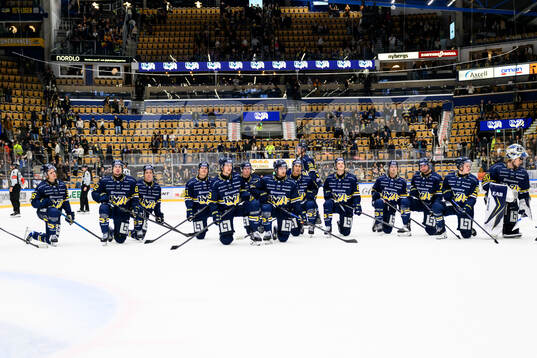HV71s spelare jublar