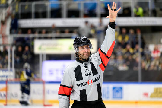 Domare Mikael Sjöqvist