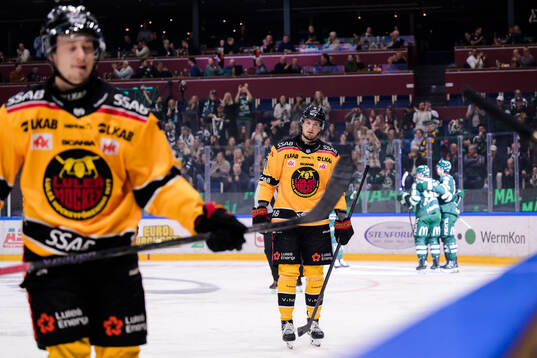 Luleås Markus Nurmi deppar