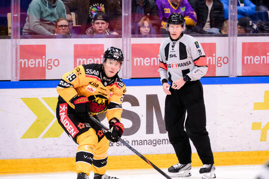 domare Mikael Holm