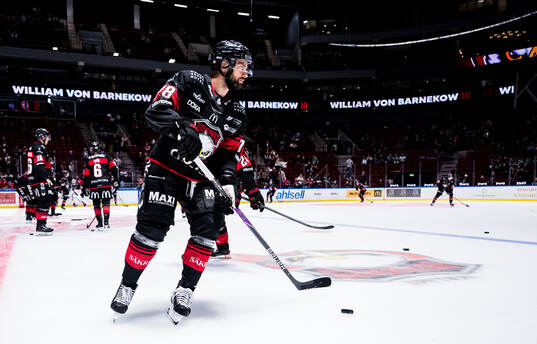 Malmö Redhawks Robin Hanzl