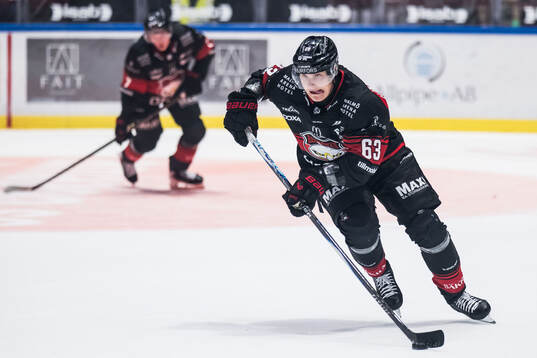 Malmö Redhawks Fredrik Händemark