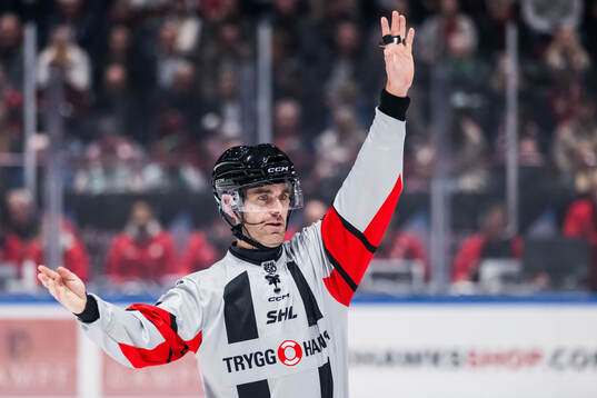 Domare Richard Magnusson