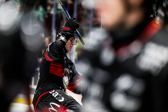 Malmö Redhawks Fredrik Händemark deppar