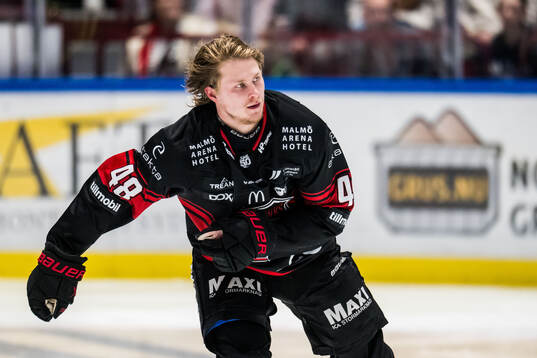 Malmö Redhawks Lauri Pajuniemi