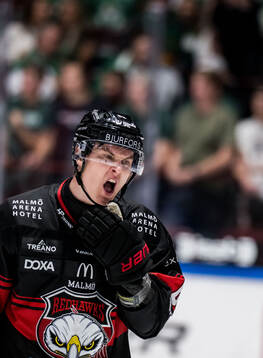 Malmö Redhawks Fredrik Händemark deppar