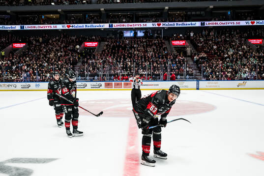 Malmö Redhawks Fredrik Händemark deppar