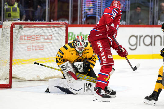 Skellefteås målvakt Strauss Mann