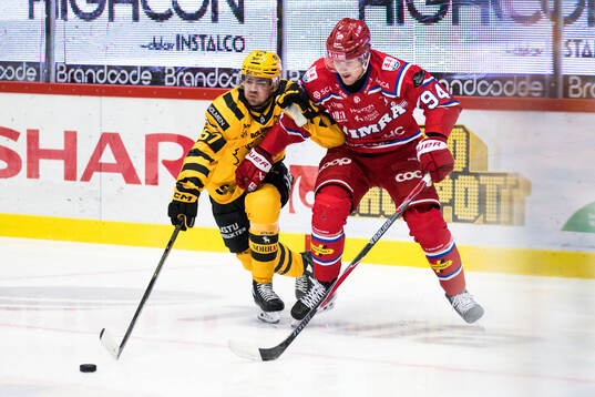 Skellefteås Emil Djuse och Timrås Sebastian Hartmann