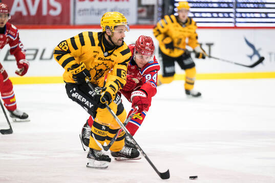 Timrås Sebastian Hartmann och Skellefteås Arvid Lundberg