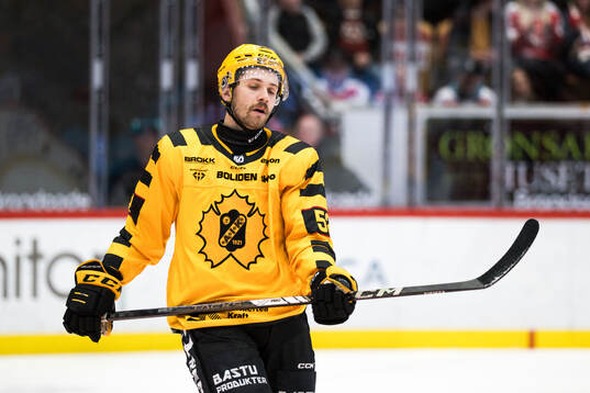 Skellefteås Arvid Lundberg deppar