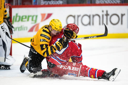 Skellefteås Rasmus Bergqvist och Timrås David Lilja