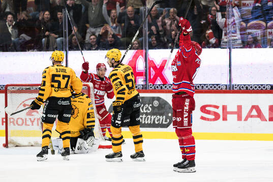 Timrås Emil Pettersson jublar